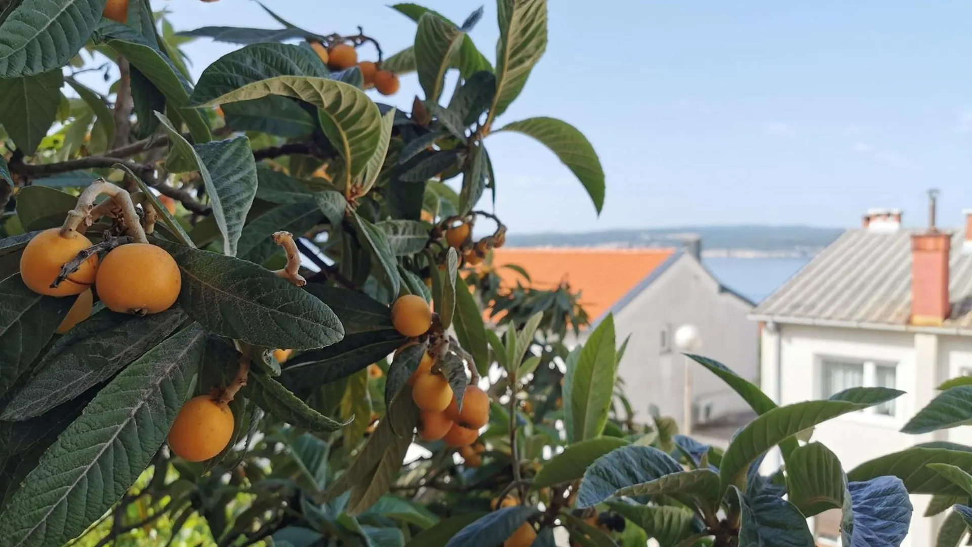 Renovierte Wohnung In Crikvenica